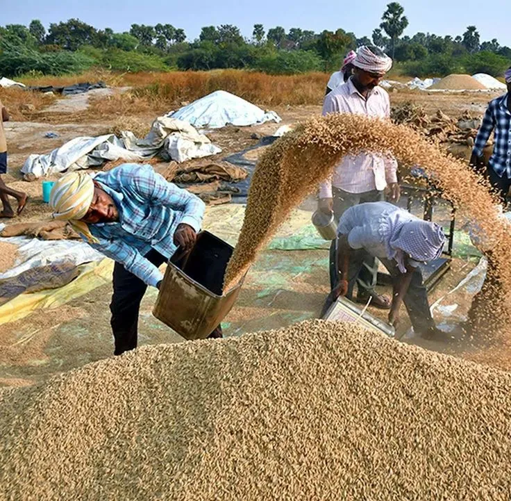 Sai Traders logistics